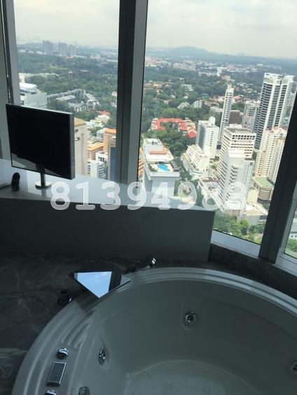 The Orchard Residences (D9), Apartment #133360672
